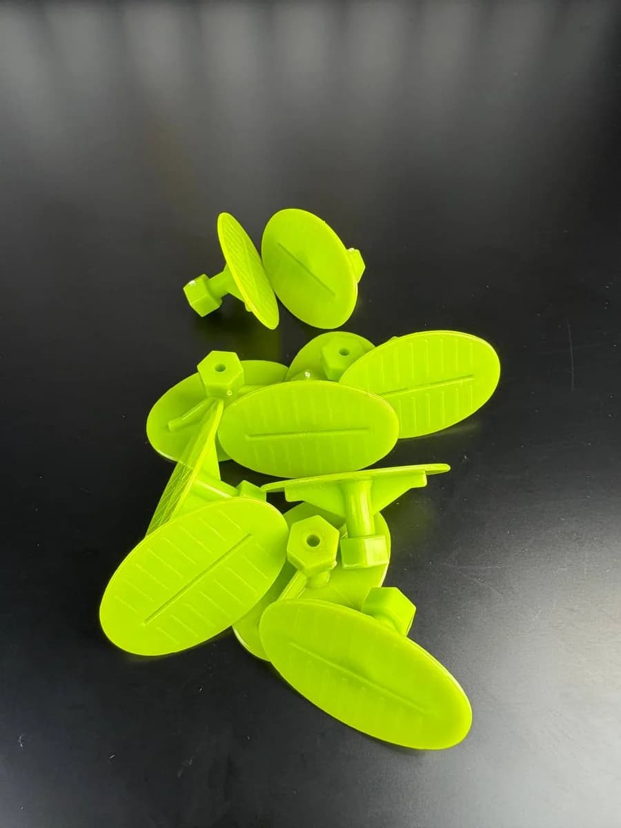 Öpücük | Şeritli Yeşil