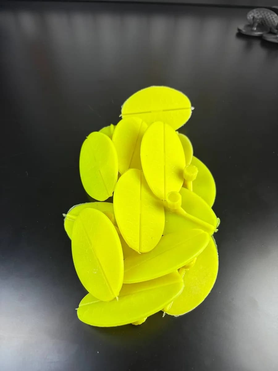 Öpücük | Oval Büyük Sarı